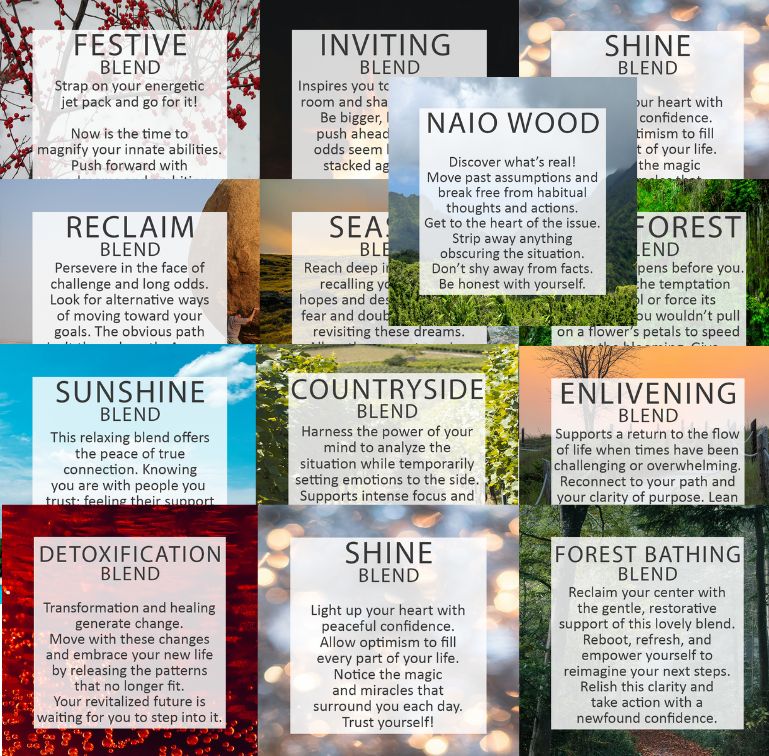 Newest Cards - 2025 Release