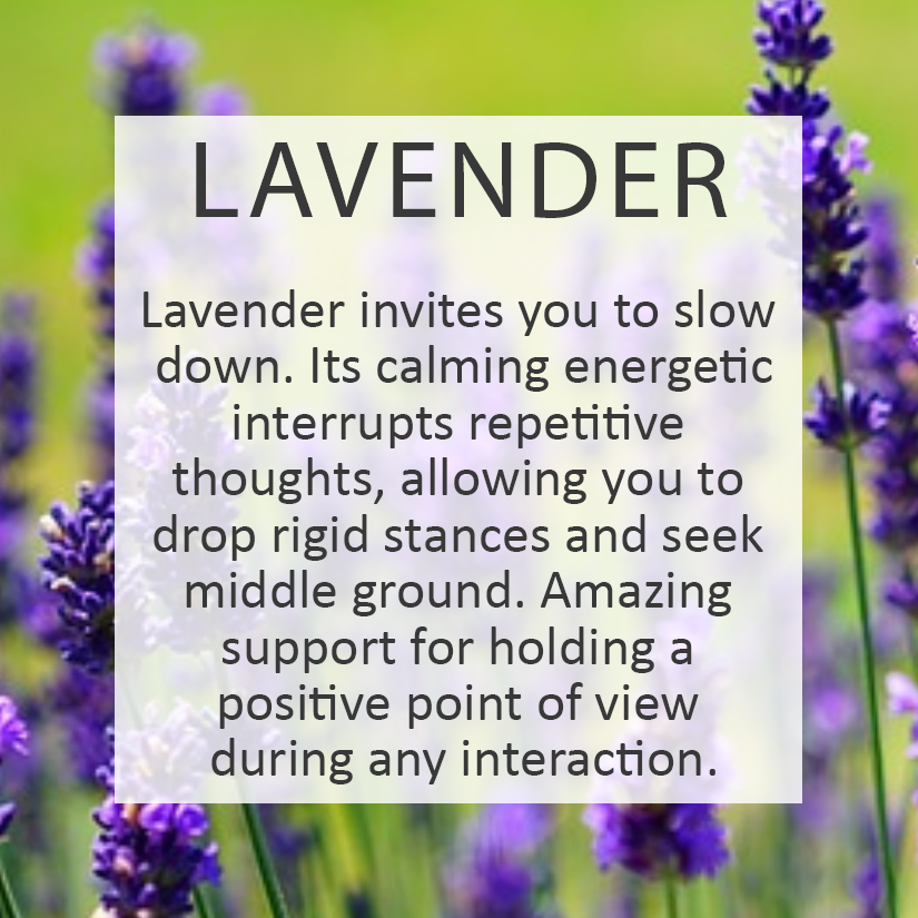 Essential Oil Card of the Day