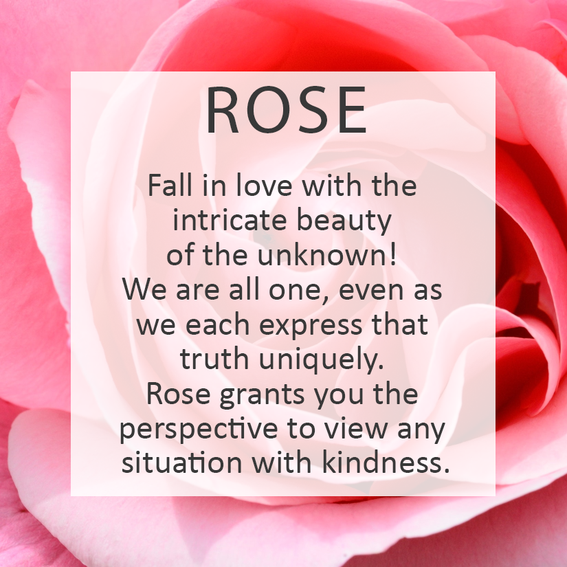 Essential Oil Card of the Day